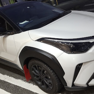 C-HR ZYX11