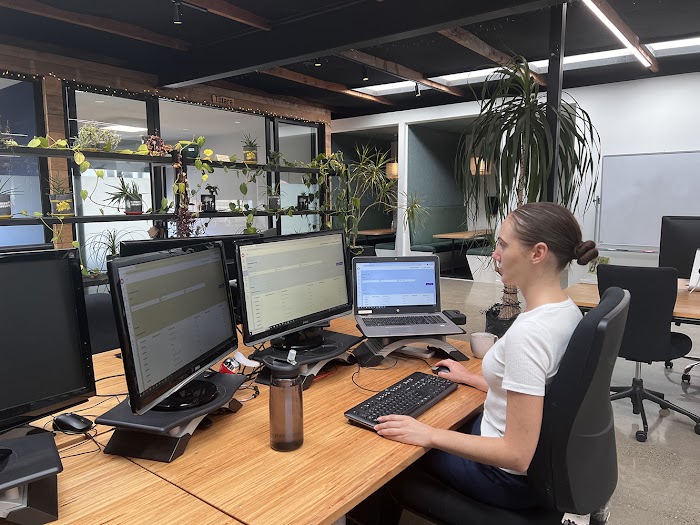 Lady working on a computer