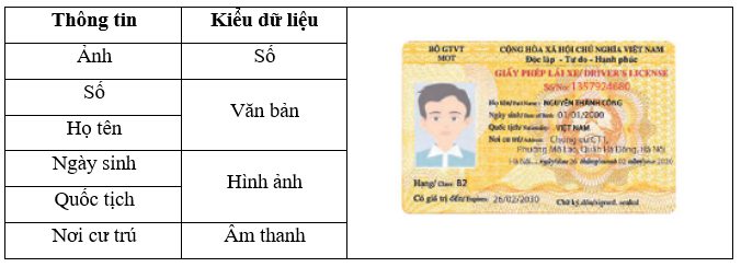 Giấy phép lái xe có các thông tin nêu ở cột bên trái của bảng sau