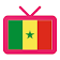 Best TV Replay Senegalais icon