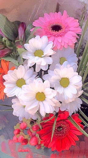 Love Flowers Images GIF