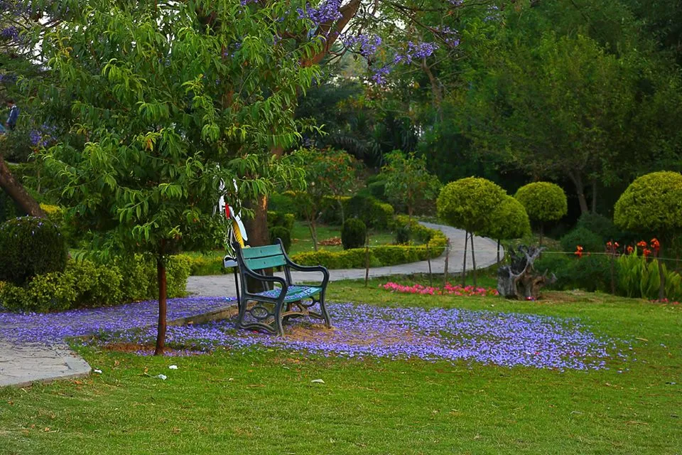 28 - Ayub Park - Rawalpindi 1