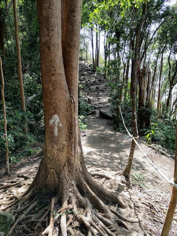 Bukit Batu Putih via Lighthouse Forest Trail