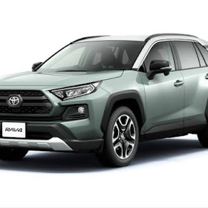 RAV4 MXAA54