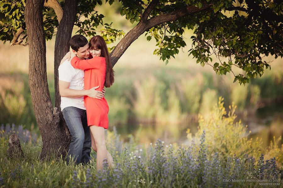 Hochzeitsfotograf Olga Mishina (olgamishina). Foto vom 13. Juni 2013