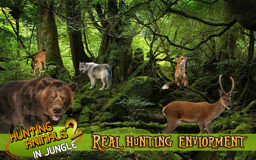 Hunting Animals in Jungle II