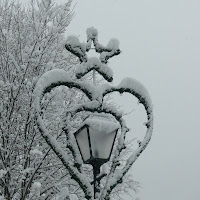 cuore e neve di 