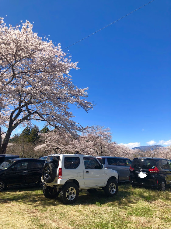 ジムニーの花見🎵に関するカスタム事例の投稿画像1枚目