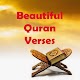 Download Beautiful Quran Verses For PC Windows and Mac 1.0