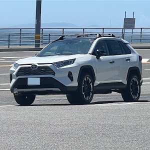 RAV4 MXAA54