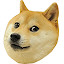 Doge Clicker unblocked game