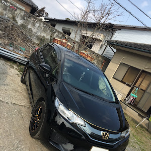 フィット