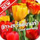 Download คำคมสวัสดีตอนเช้าตามวันฟรีพร้อมรูปใหม่ล่าสุด For PC Windows and Mac