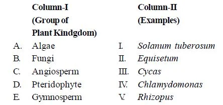 Classification of Plant Kingdom