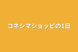 コネシマショッピの1日