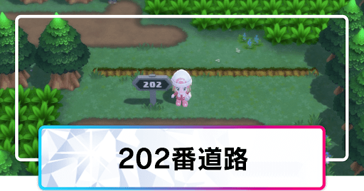 202番道路_マップ