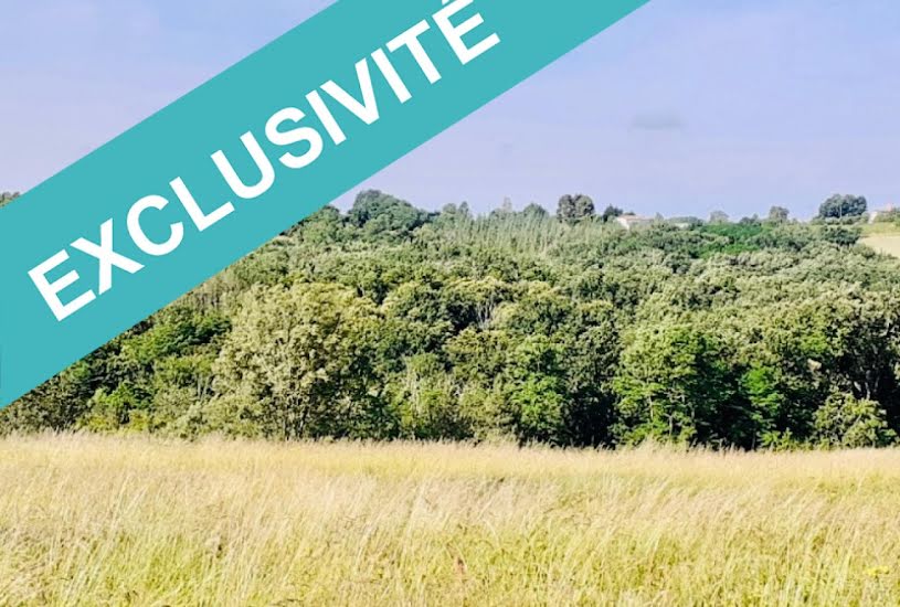  Vente Terrain à bâtir - 12 000m² à Moissac (82200) 