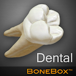 Cover Image of Tải xuống BoneBox \ u2122 - Dental Lite 1.0 APK