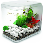 Aquarium Design Ideas Apk