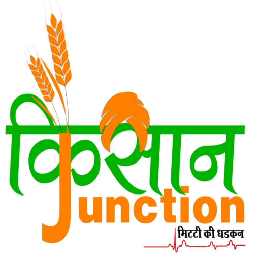 Kissan Junction