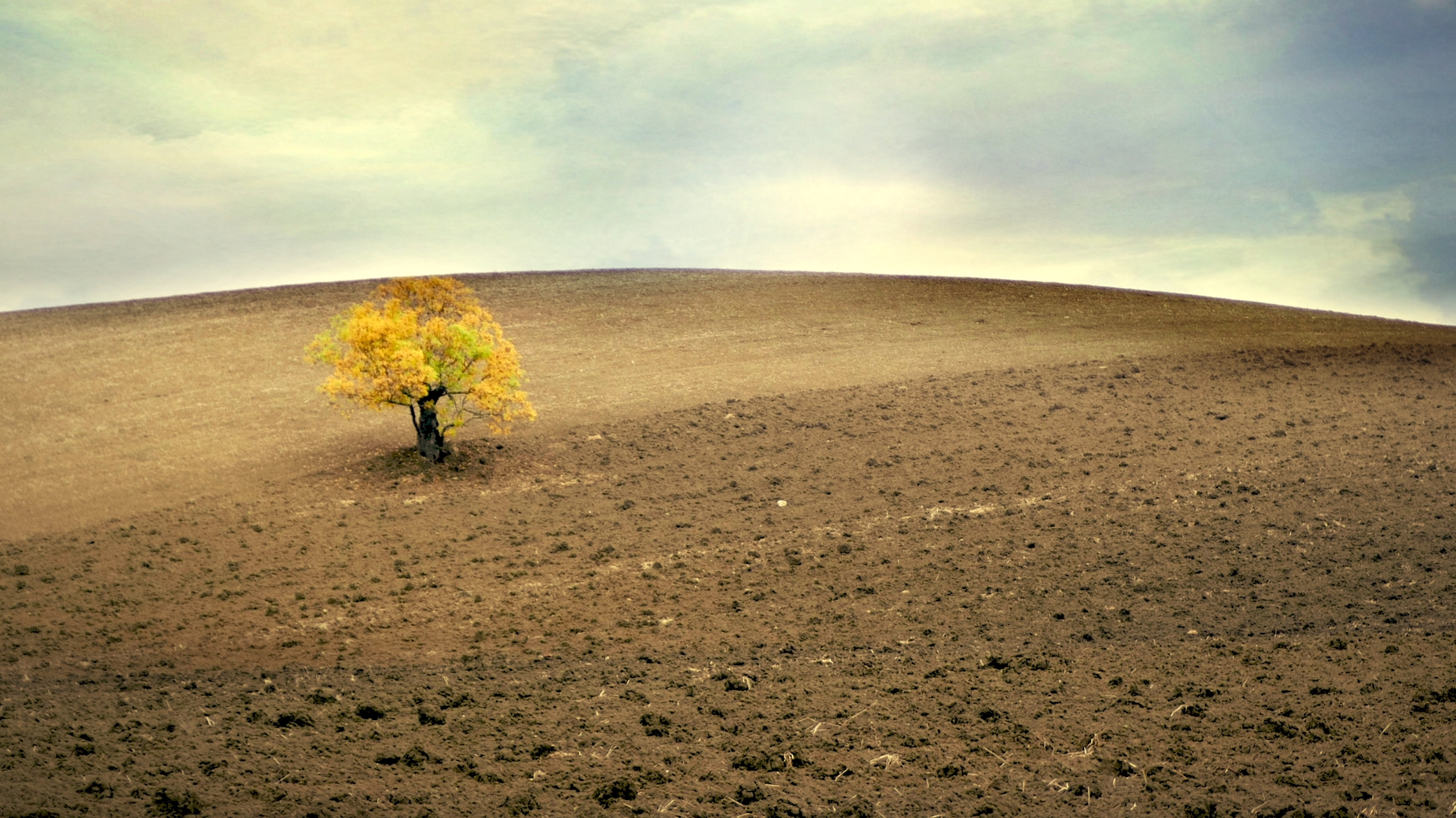 Tuscan minimal natural  di aughi