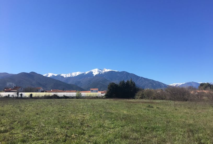  Vente Terrain + Maison - Terrain : 400m² - Maison : 120m² à Vinça (66320) 