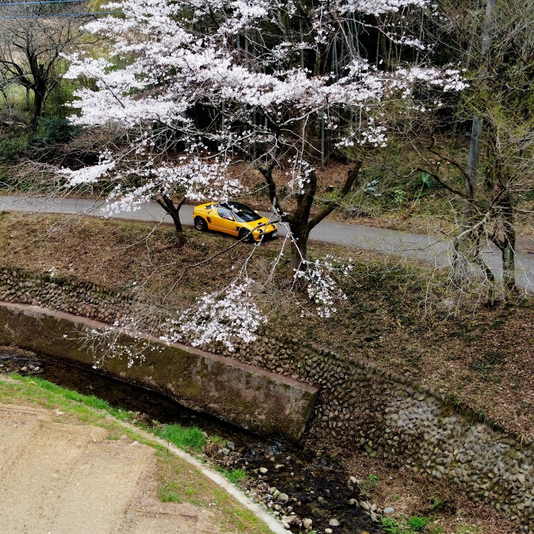 の投稿画像5枚目