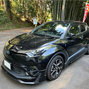 C-HR ZYX10