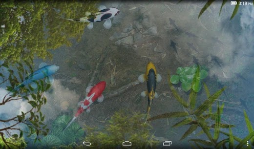 Water Garden Live Wallpaper MOD APK 1.78 [Full Unlocked] 8