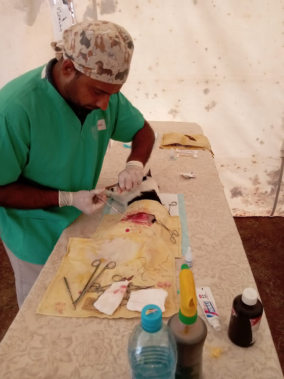 Gurupeet Shah, a volunteering doctor neutering a cat at the Muhuri Muchiri Stadium during Nairobi county rabies and neutering campaign on February 23.