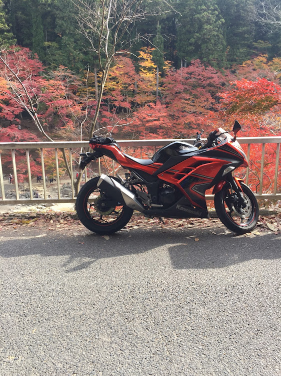 その他のバイクツーリング・紅葉🍁・バイク・香嵐渓・スーパーカブに関するカスタム事例の投稿画像4枚目