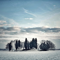 Tundra Padana  di 