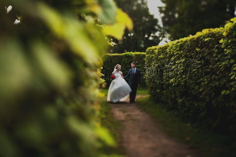 Wedding photographer Anastasiya Ostrovskaya (leano). Photo of 3 September 2016