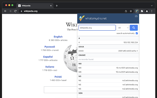 DNS Lookup