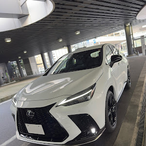 NX AAZA20