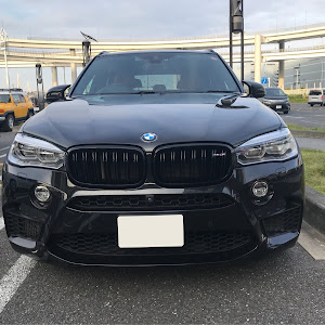 X5 M F85