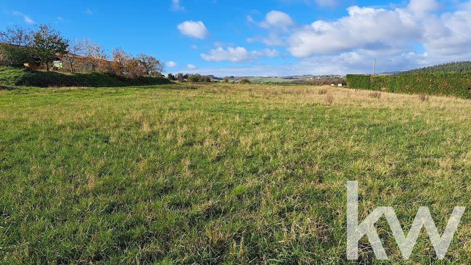 Vente terrain  2352 m² à Saint-Quintin-sur-Sioule (63440), 35 950 €