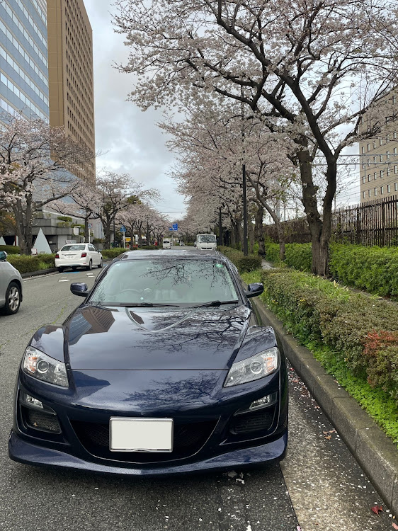 RX-8のMazda・rx-8・桜コラボに関するカスタム事例の投稿画像3枚目