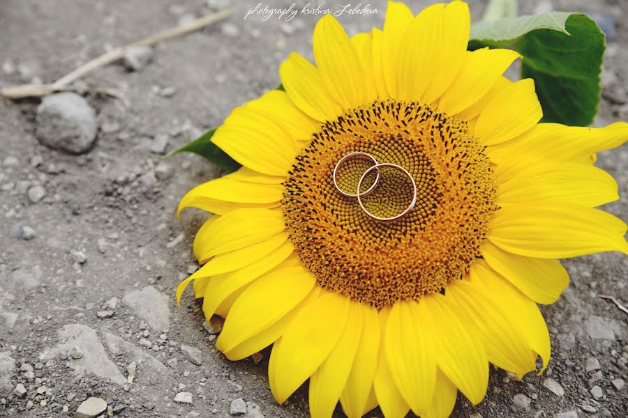 Fotografo di matrimoni Kristina Lebedeva (zhvanko). Foto del 23 luglio 2017