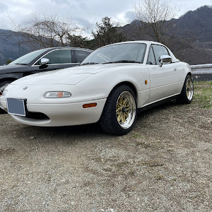 ロードスター NA8C
