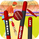 Cover Image of Descargar Street Cricket Pro 1.0.4 APK
