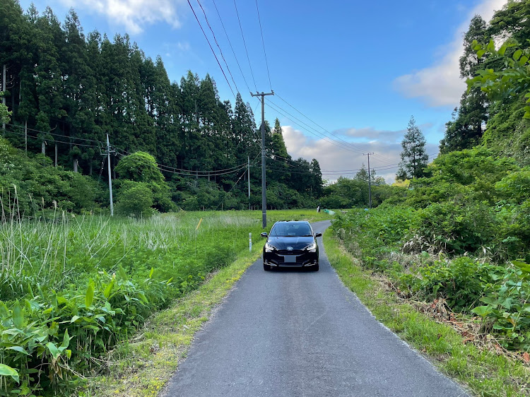 ヤリスのYARIS・ヤリス・MXPH15・洗車・ヌルテカに関するカスタム事例の投稿画像3枚目