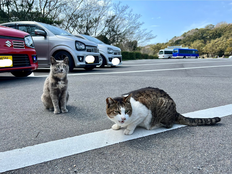 の投稿画像5枚目