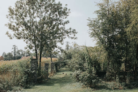 Fotógrafo de bodas Katarzyna Adamczyk (katadamczyk). Foto del 29 de diciembre 2019