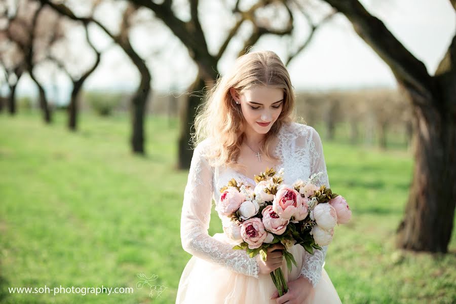 Fotógrafo de casamento Nataliya Melcer (melzer). Foto de 29 de abril 2017