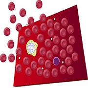Hematology Overview  Icon