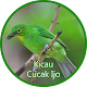 Download Kicauan Cucak Ijo Ngerol For PC Windows and Mac 1.0