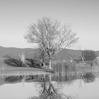 Riflettendo...... di pieralisa