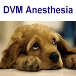 DVM Anesthesiology Apk