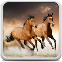 تنزيل Horses Live Wallpaper التثبيت أحدث APK تنزيل